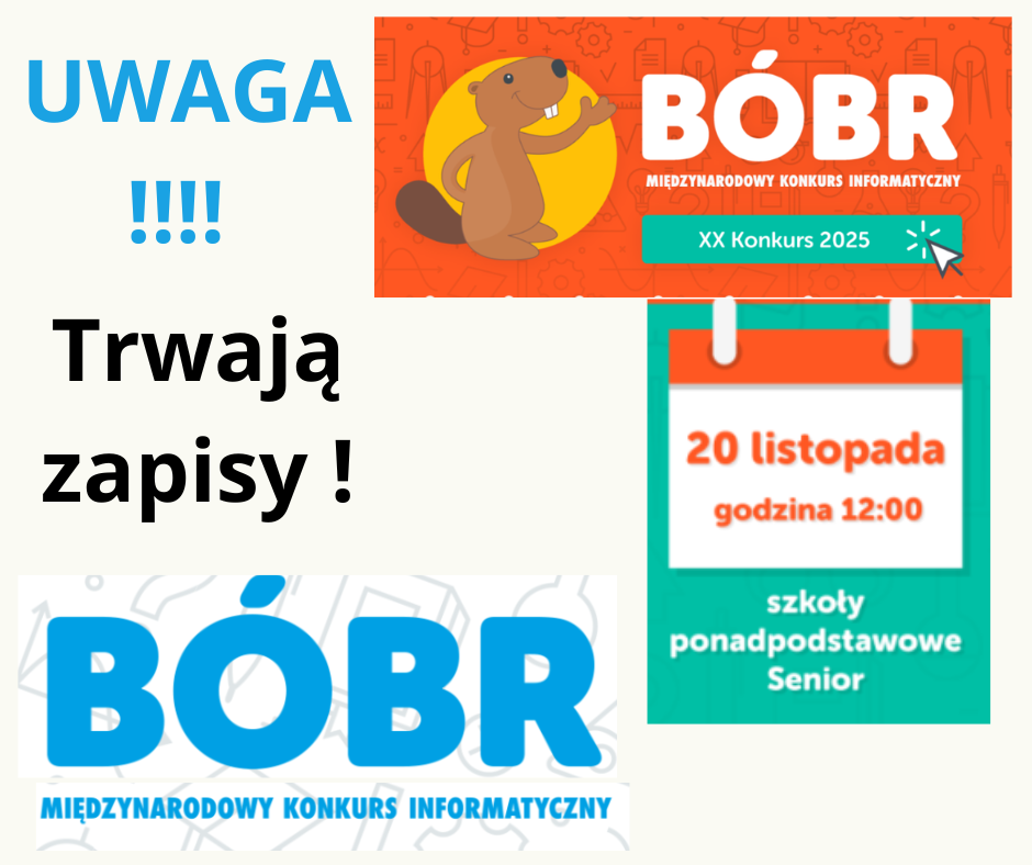 Ruszają zapisy na Międzynarodowy Konkurs Informatyczny BÓBR.