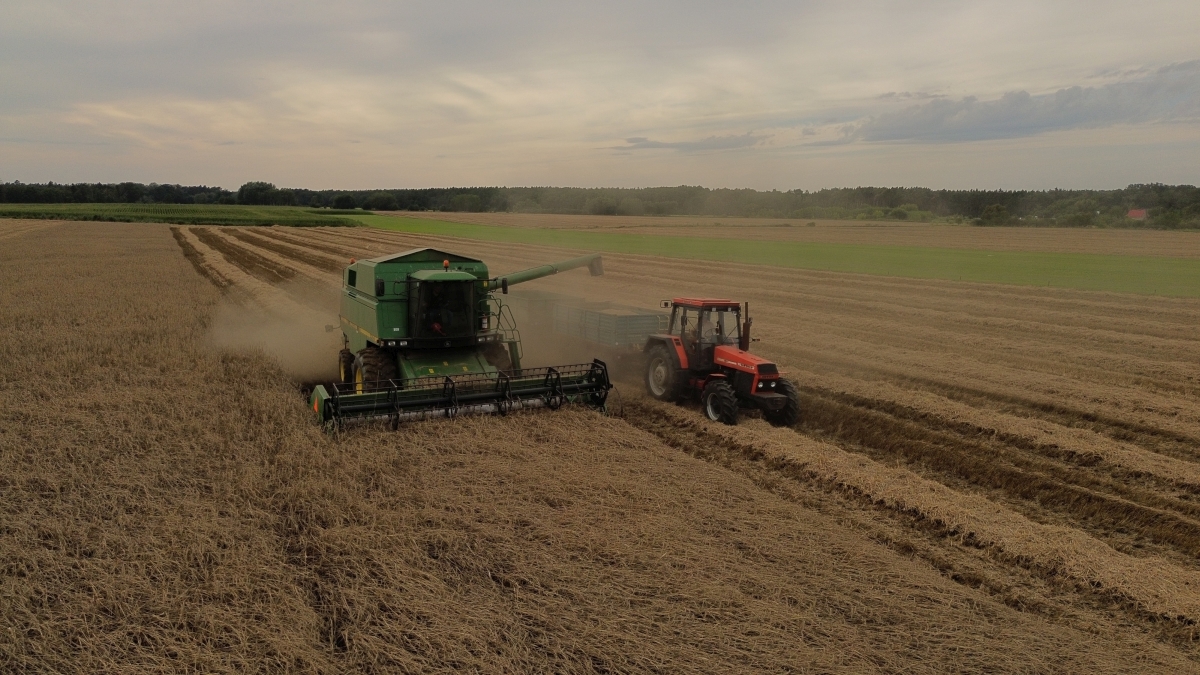 Krótka relacja filmowa z naszych szkolnych żniw 🌾